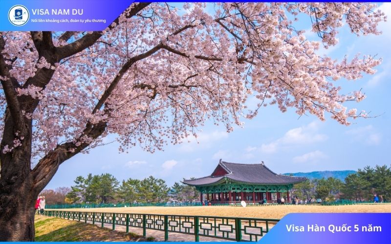 Visa Hàn Quốc 5 năm