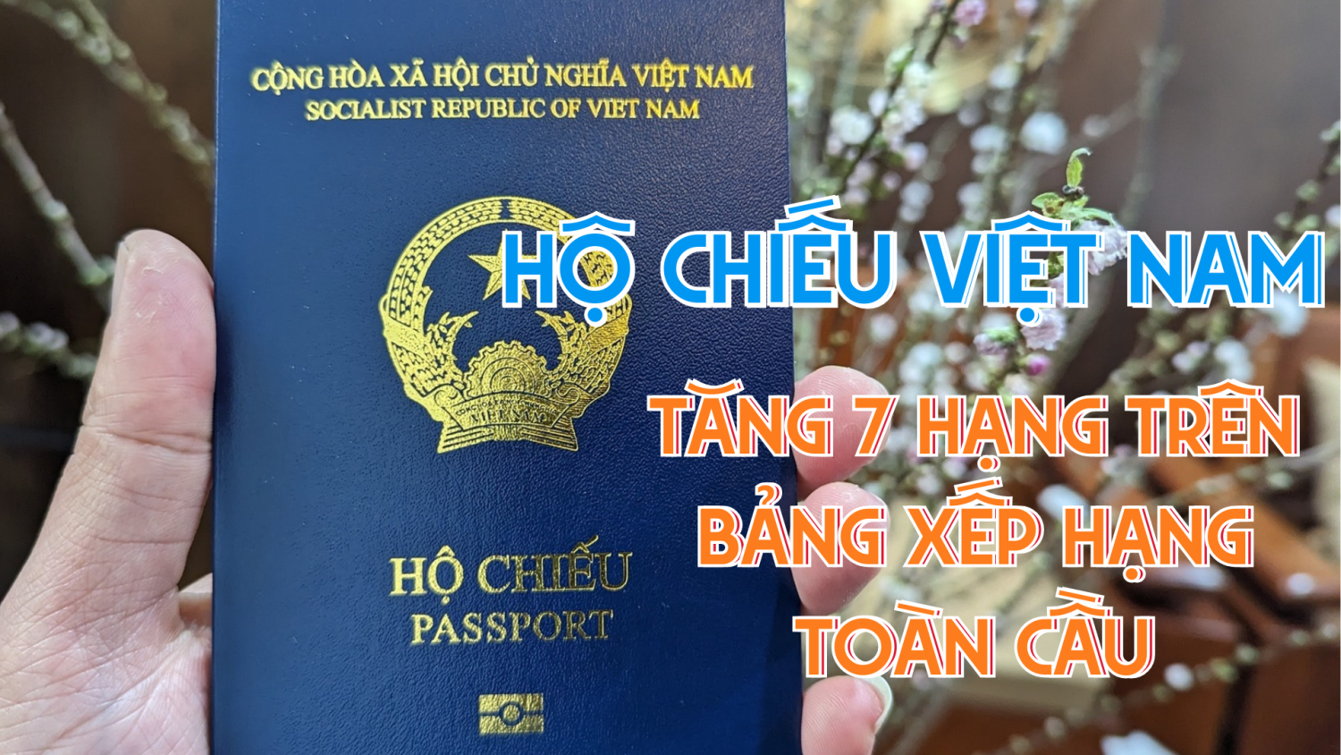 Từ 2025, Công dân Việt Nam miễn Visa tại 51 Quốc gia – Cập nhật mới cùng Visa Nam Du