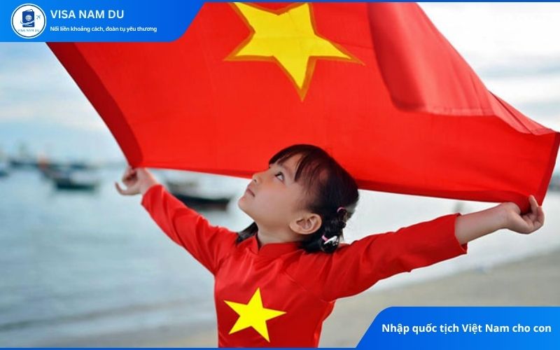 Nhập quốc tịch Việt Nam cho con