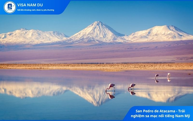 San Pedro de Atacama - Trải nghiệm sa mạc nổi tiếng Nam Mỹ
